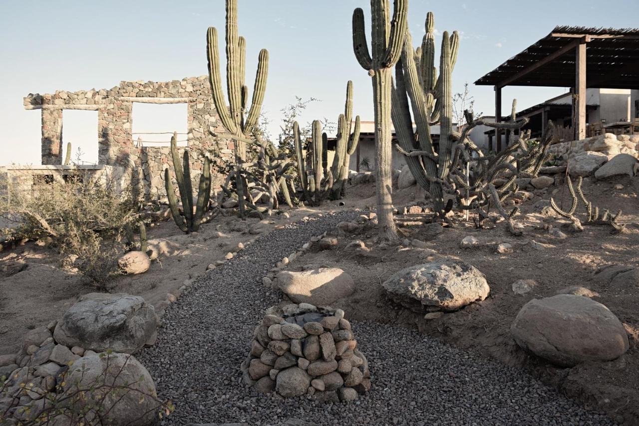 Desierto Azul Hotel Todos Santos Exterior photo